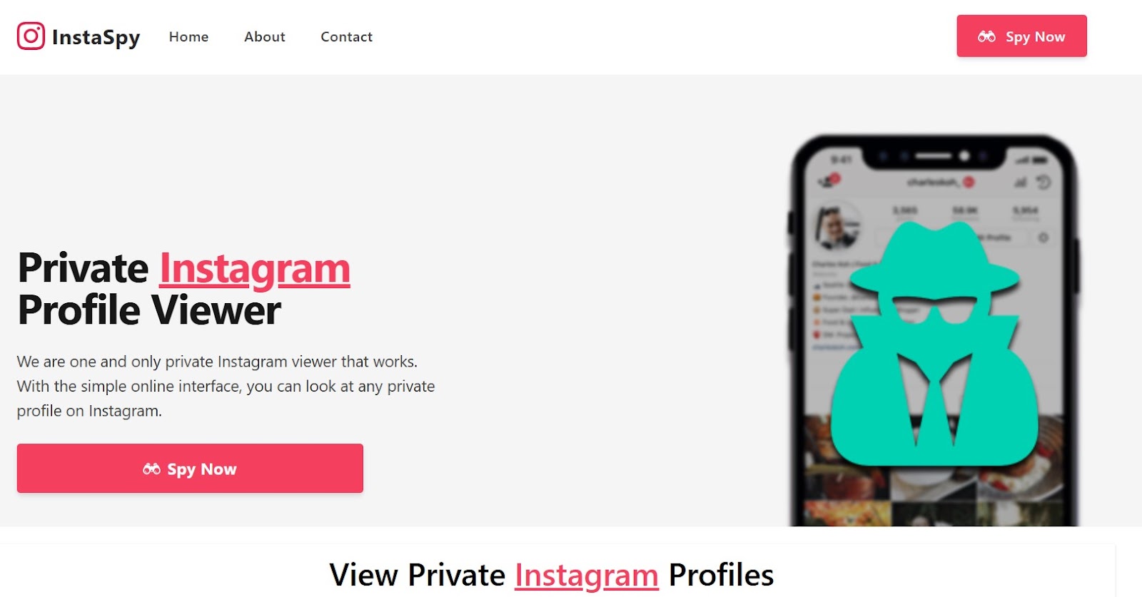 InstaSpy Homepage