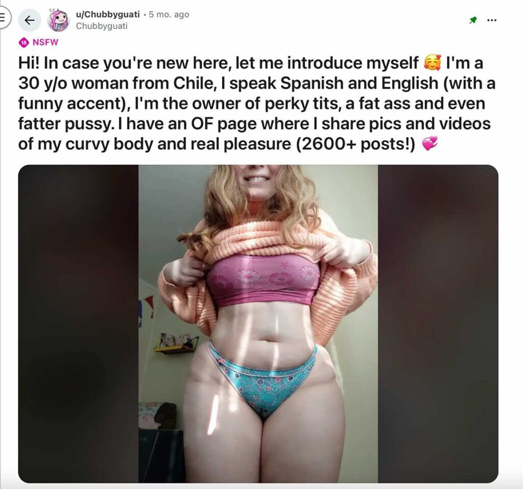 Snippet of Chubbyguati's Reddit