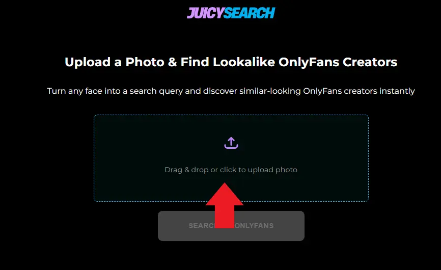 image search feature on JuicySearch