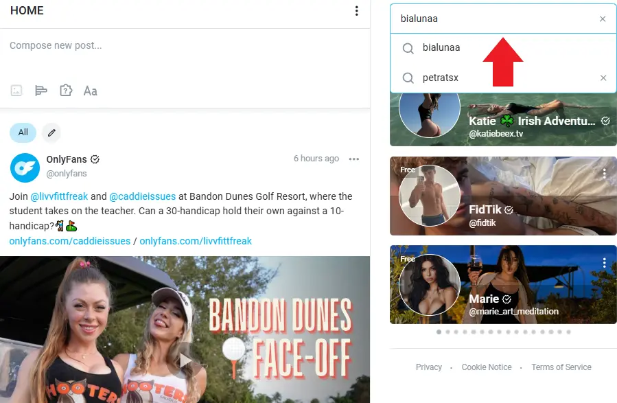 OnlyFans search bar to search for creators