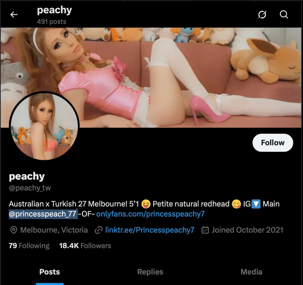 Princess Peach on Twitter