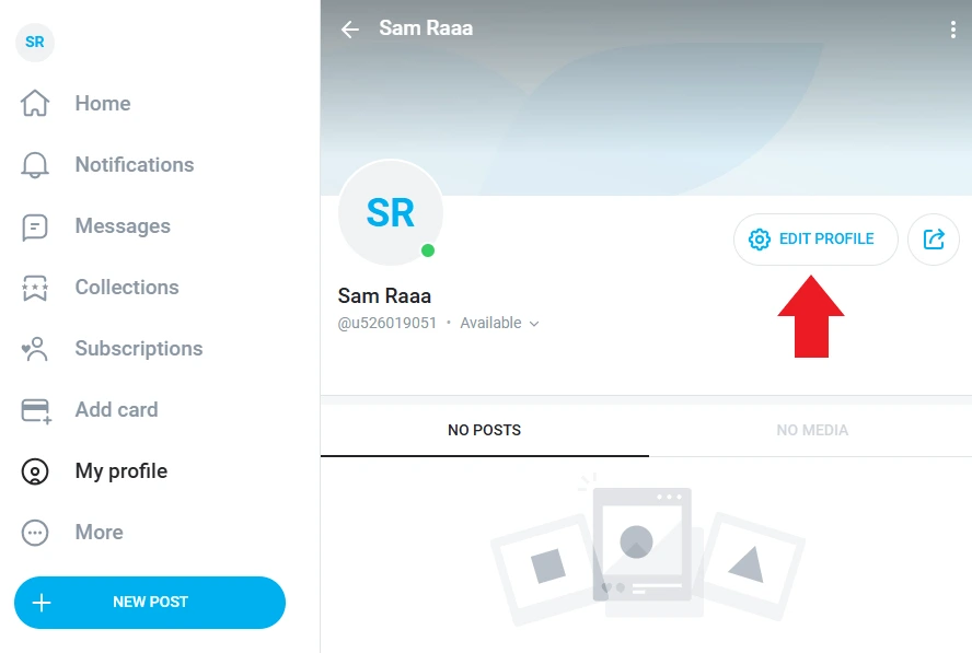 Settings (edit profile) i deleteing an OF account