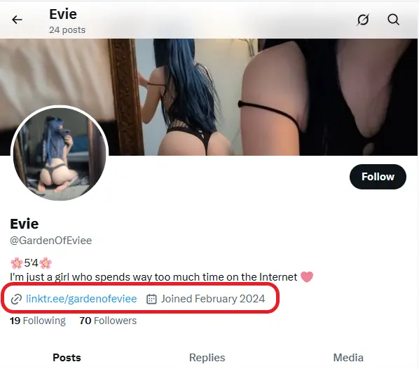 putting onlyfans link in X bio